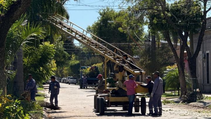 Se completó la poda del arbolado urbano en calle Nicasio Oroño