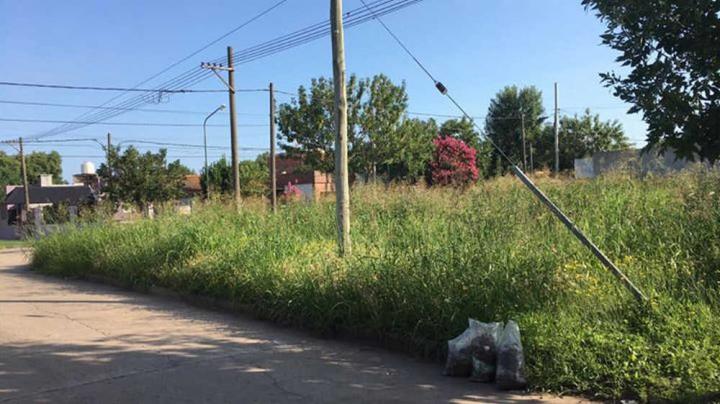 La Municipalidad de San Javier multará a quienes no corten el pasto 