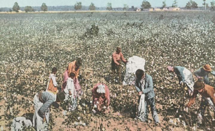 ¡Feliz cumpleaños Colonia Francesa!