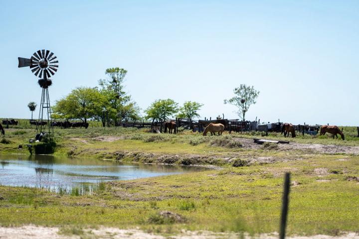 Rojas destacó la baja de impuestos y el criterio de equidad territorial en la Ley Tributaria