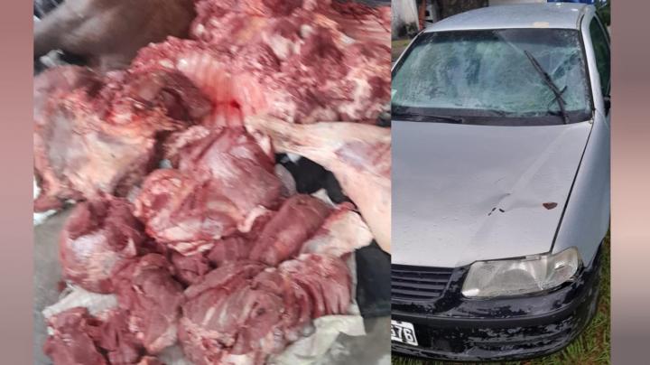 Venían con carne, quisieron fugarse de un control y arrollaron a un policía