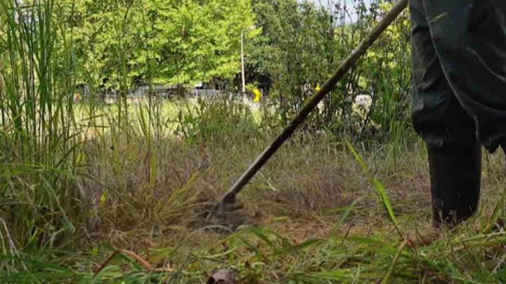 La Comuna de Saladero intensifica los controles de limpieza en terrenos baldíos