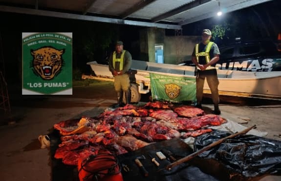 Mascías: esataban carneando una vaca, tirotearon a Los Pumas y se escaparon en la isla 