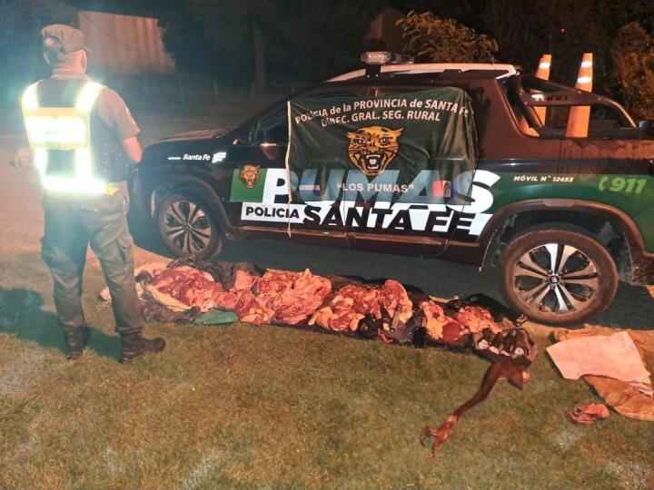 Los Pumas de San Javier con importantes procedimientos en la zona