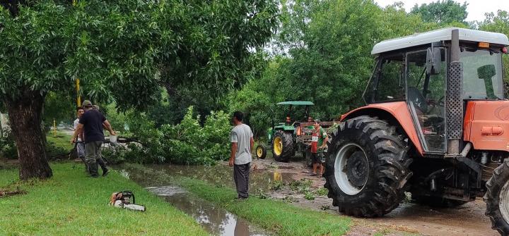 Alejandra: Una corta pero fuerte tormenta generó varios destrozos esta mañana 