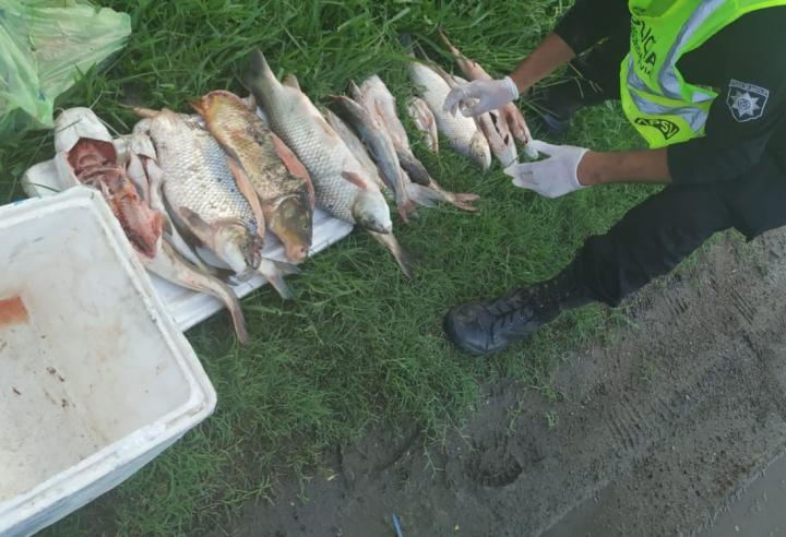 La Policía Vial secuestró una escopeta sin papeles y procedió por traslado de peces