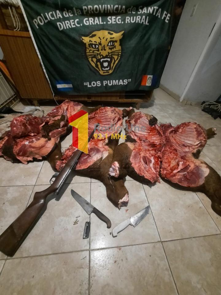 La Brava: Los Pumas de San Javier detuvieron a tres sujetos con carne vacuna
