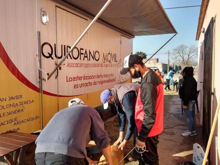San Javier: La Municipalidad continúa con la campaña de castraciones masivas