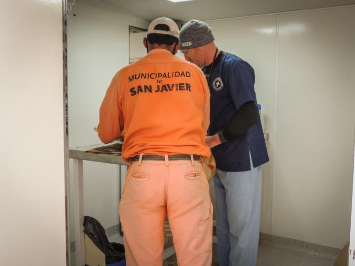 La Municipalidad de San Javier continúa con la campaña de castraciones masivas 