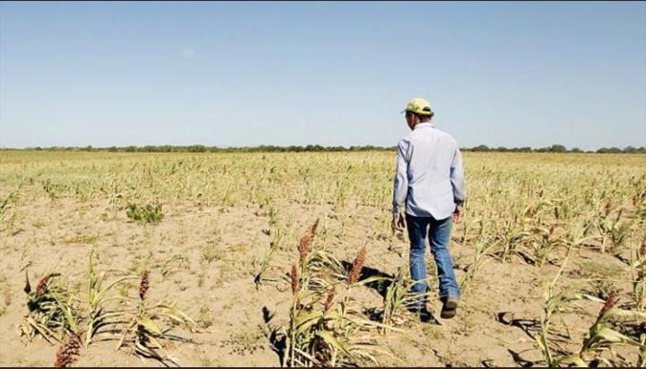 La Provincia entregará créditos a productores afectados por la sequía