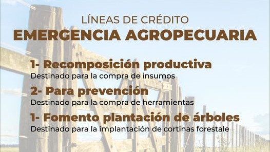 Cayastá: Líneas de crédito disponible para Productores Agrícolas, Ganaderos y Frutihortícolas