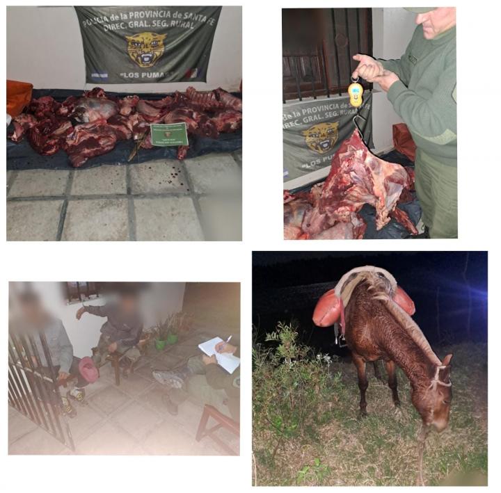Alejandra: Dos masculinos a caballo fueron detenidos con carne por Los Pumas 
