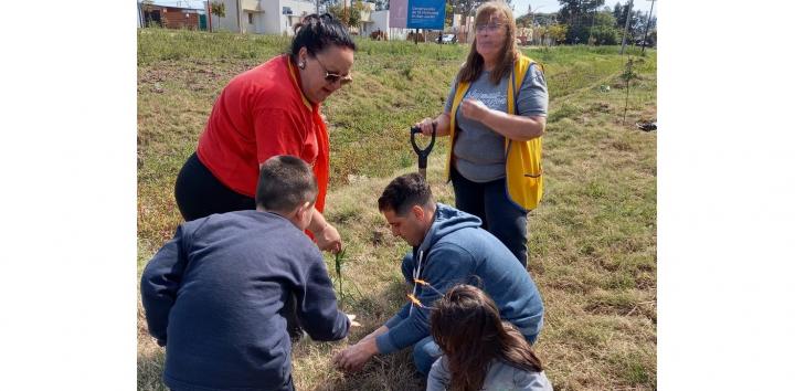 El Rotary y el Club de Leones de San Javier avanzan en la plantación de 100 árboles en el acceso la ciudad 