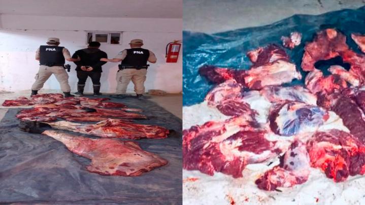 Prefectura secuestró 200kg de carne faenada de una piragua
