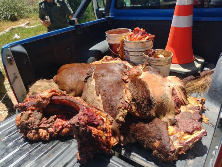 Santa Rosa: efectivos de la Unidad Regional VII encontraron carne de abigeato 