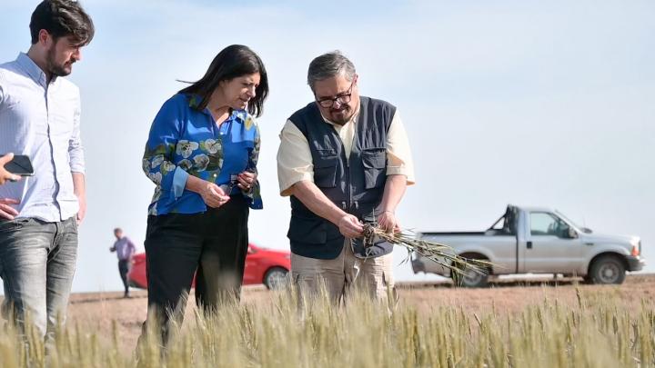 Clara García demandó que se agilicen las medidas de apoyo para el campo santafesino