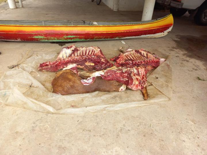 La Prefectura de San Javier encontró una piragua abandonada con 250 kilos de carne