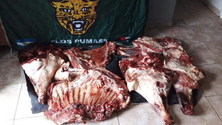 San Javier: imputan a una mujer por tener más de 200 kilos de carne en su casa