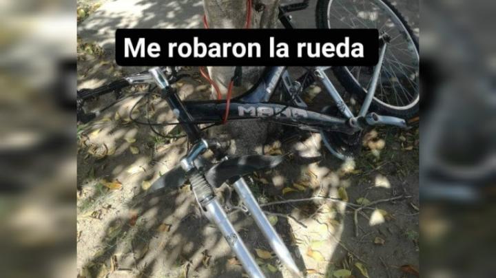 La policía de San Javier recuperó la rueda de bicicleta que robaron el viernes 