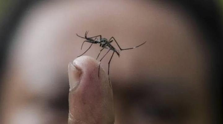 Dengue: murió una joven de 21 años en Rafaela