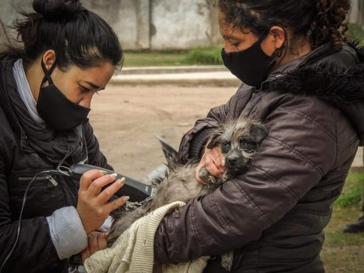 San Javier: Inscripción para castración de mascotas en Barrio Santa Rosa 