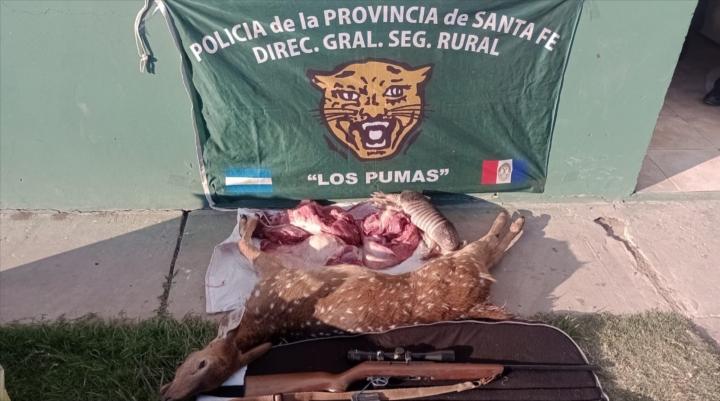 San Javier: secuestraron ciervo, tatú y carne de chancho salvaje en Colonia San José 