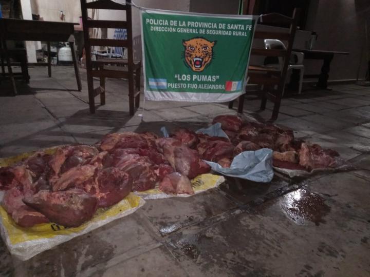 Alejandra: más de 100 kilos de carne abandonados al costado de la ruta