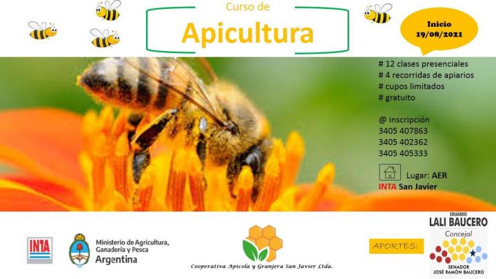 Curso gratuito para capacitarse en producción apícola 