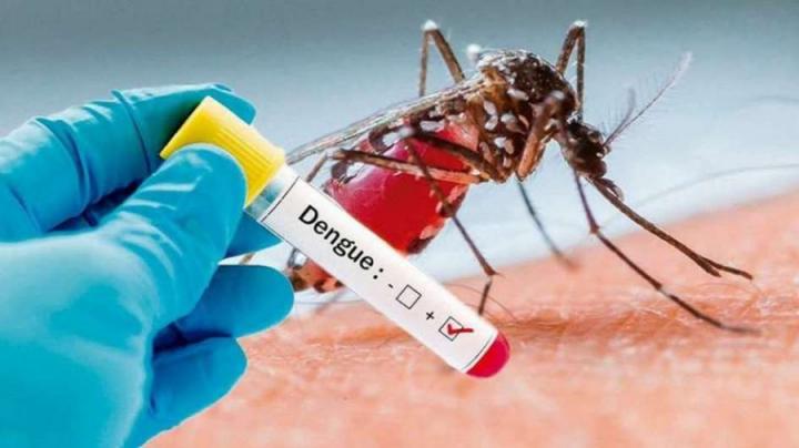 Qué factores pueden desencadenar el dengue grave en personas jóvenes
