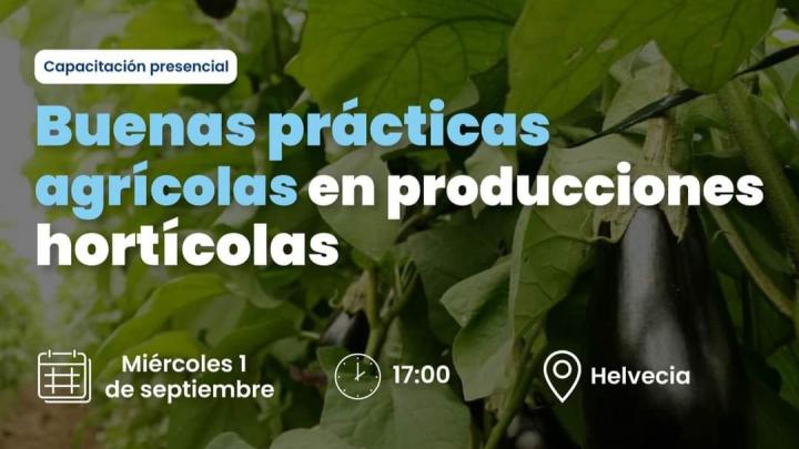 Helvecia: Buenas prácticas agrícolas para producciones hortícolas 