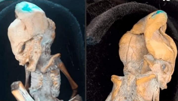 Una extraña momia fetal encontrada ¿Donde y de que se trata?