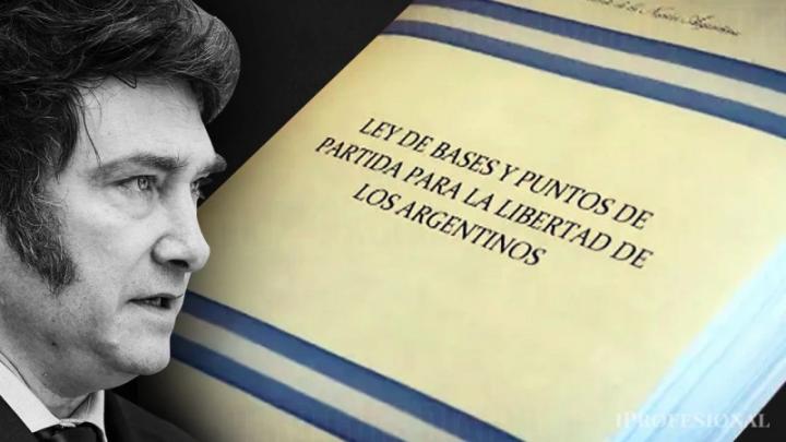 Ley Bases completa: artículo por artículo, así es el proyecto que debate el Senado 