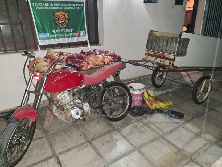 Alejandra: Los pumas los engancharon con carne en una moto con carrito