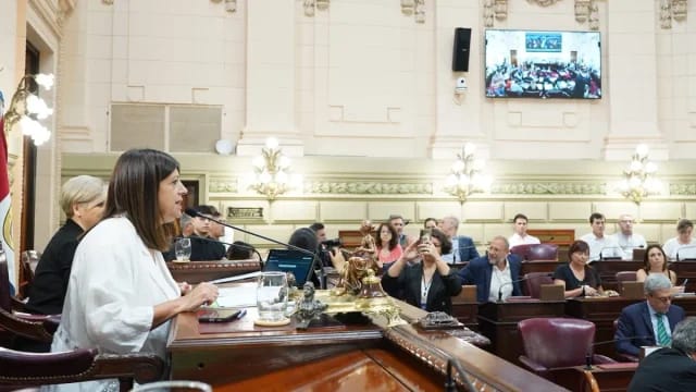 Unidos repudia la violencia contra la Legislatura y hará una denuncia penal para investigar los hechos