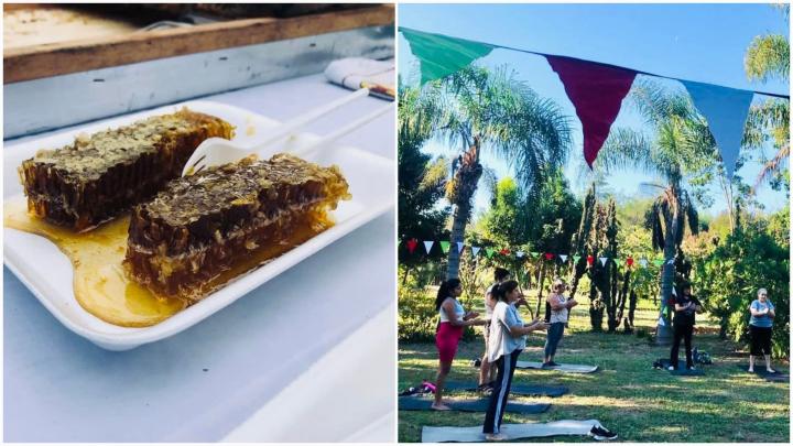 Santa Rosa de Calchines: yoga y apicultura en comunidad