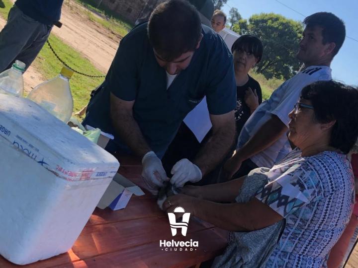 Jornada de vacunación antirrábica y desparasitación en Campo del Medio