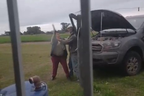 Campo del Medio: vecino le habría chocado el perro y le llegó para hacer justicia 