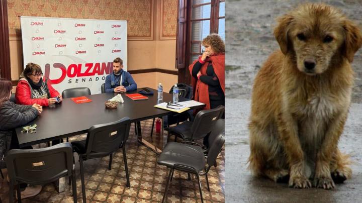 El Senador Oscar Dolzani trabaja por la protección de los derechos animales 