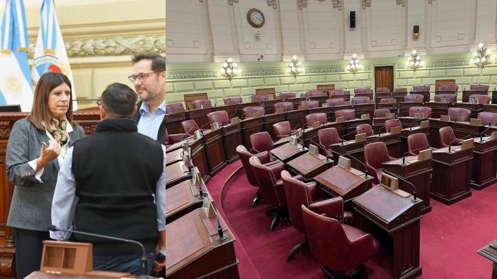 Clara García supervisió las tareas de adecuación realizadas en la cámara baja para albergar a la Convención Constituyente